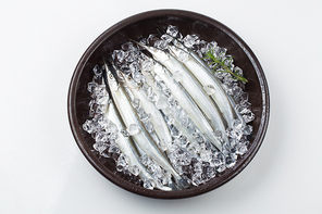 꽁치,학꽁치꽁치,학꽁치