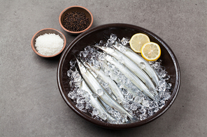 꽁치,학꽁치꽁치,학꽁치