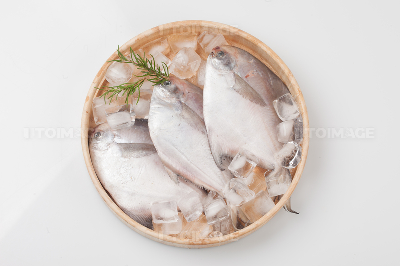 프리진 - 스톡 이미지, 사진, 일러스트, 벡터, 웹디자인. 이미지 사이트