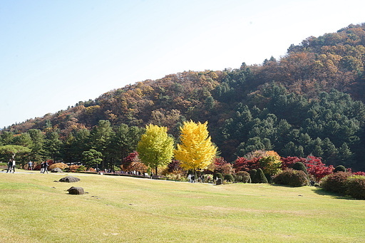 한국 경기도 가평 풍경