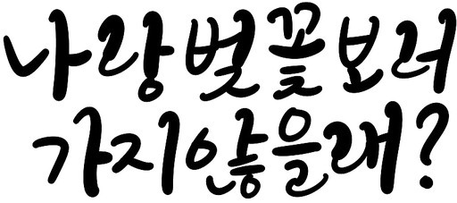 벚꽃 꽃놀이 봄나들이 캘리그라피 손글씨