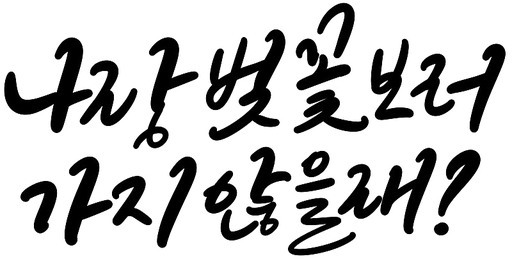 벚꽃 꽃놀이 봄나들이 캘리그라피 손글씨