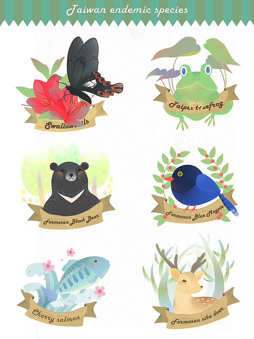 adorable Taiwan endemic species collection in fantastic style