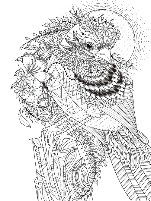 adult coloring page - beautiful sparrow with flowers