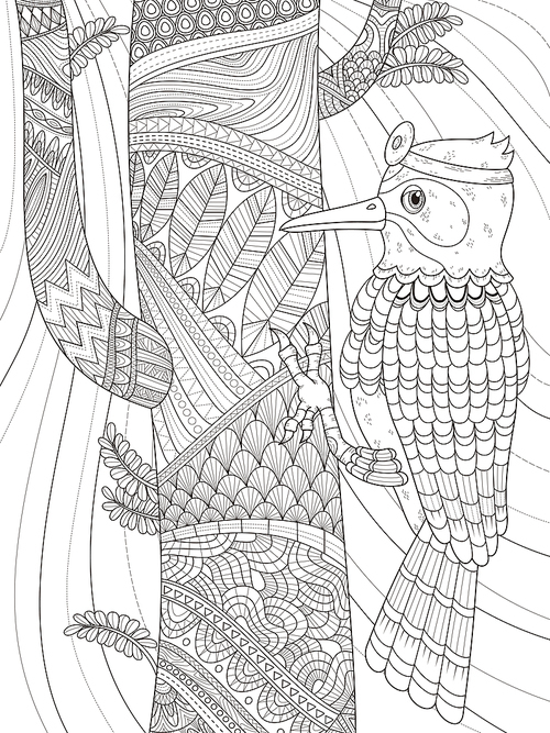 adult coloring page - woodpecker wears head mirror