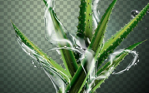 green aloe vera plant element, isolated transparent background, 3d illustration
