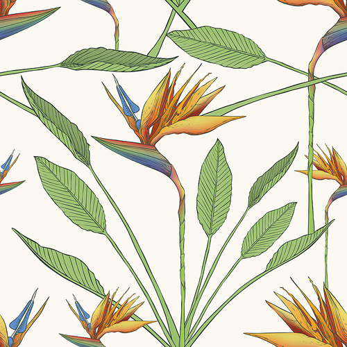 bird of the paradise flowers seamless pattern background
