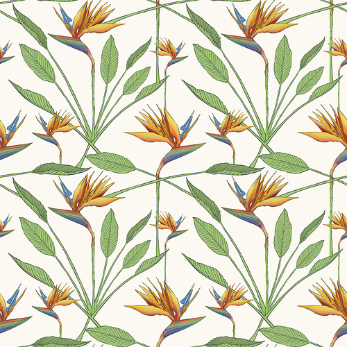 bird of the paradise flowers seamless pattern background