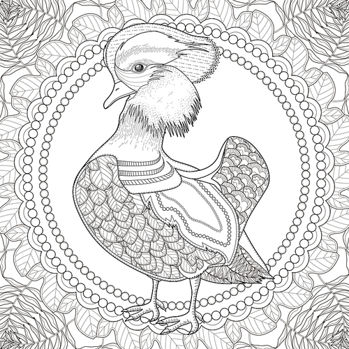 lovely mandarin duck coloring page in exquisite style