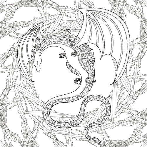 mystery dragon coloring page in exquisite style