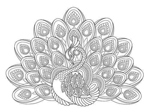 elegant peacock coloring page in exquisite style