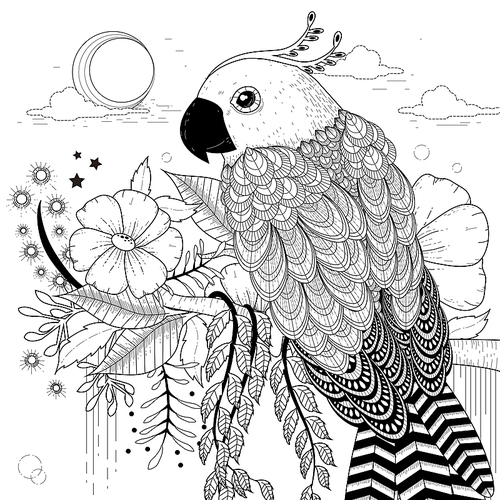 lovely parrot coloring page in exquisite style