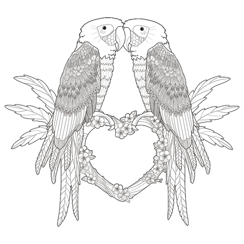 adorable parrots coloring page in exquisite style