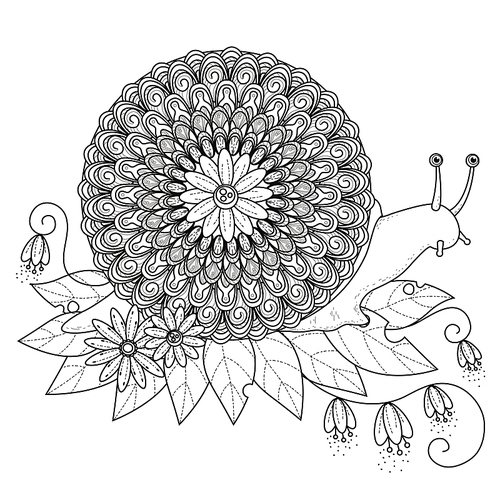 sumptuous snail coloring page in exquisite line