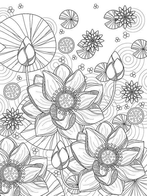 attractive lotus coloring page in exquisite line