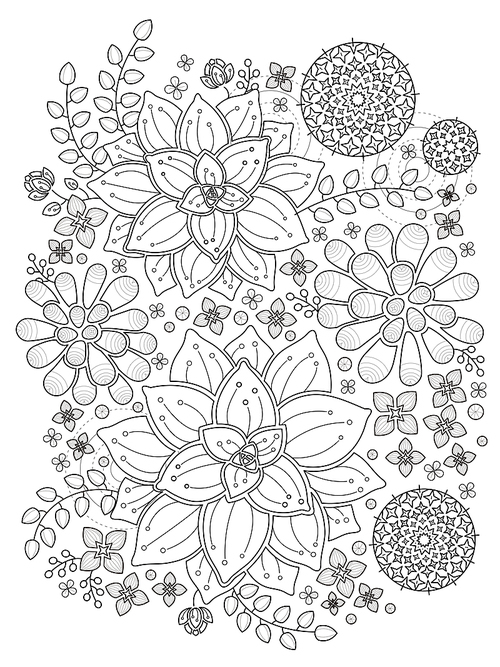 lovely top view succulent plant coloring page