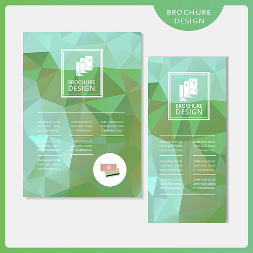 graceful brochure template design set with polygon elements