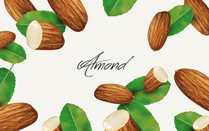 almond and leaf elements, can be used as natural background, 3d illustration