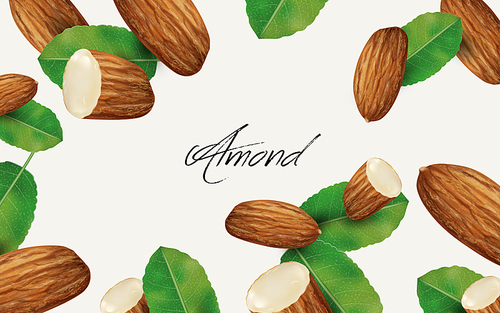 almond and leaf elements, can be used as natural background, 3d illustration