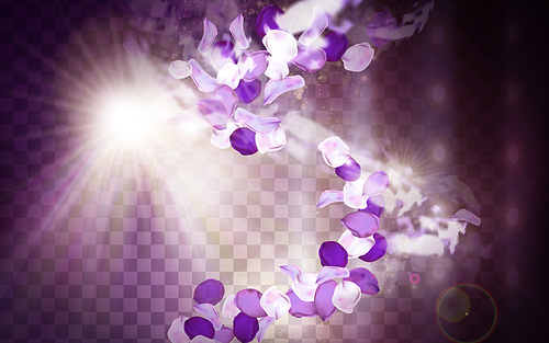purple flower aroma elements with petals dancing, 3d illustration