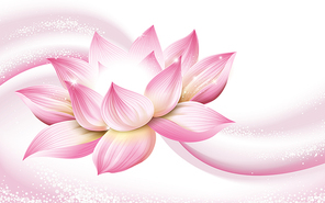 flower background, with a complete pink lotus in the picture, 3d illustration