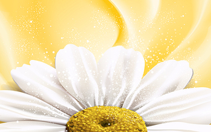 complete chamomile flower at the lower half of the picture, 3d illustration