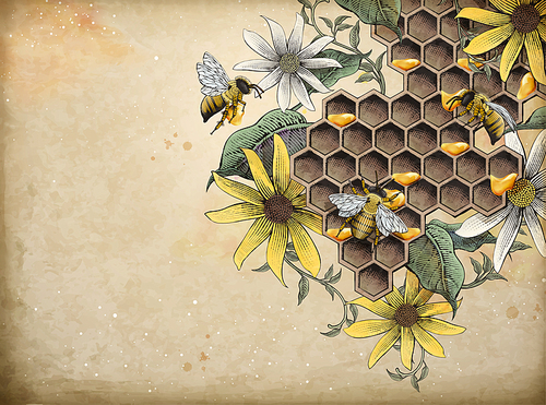 Honey bee and apiary, retro hand drawn etching shading style design elements, beige background
