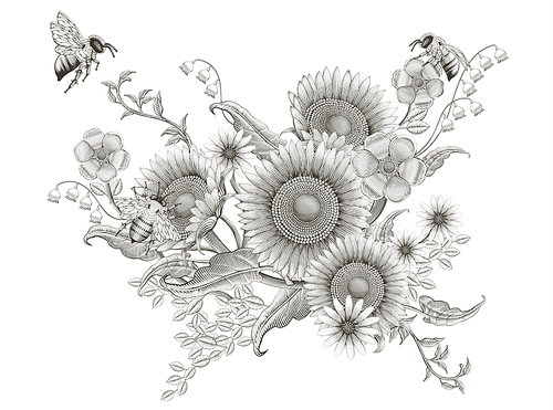Retro elegant floral design, etching shading sunflowers and bees design on white background