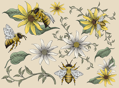 Honey bees and flowers elements, retro hand drawn etching shading style design, colorful tone