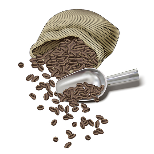 Engraving coffee beans in jute bag, beans split over with 3d illustration coffee shovel
