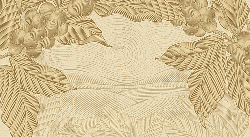 Retro coffee plants background, plants with field scenery in etching shading and ink drawing style