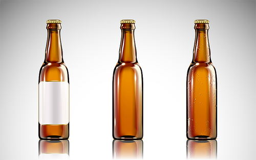 Beer glass bottle mockup in 3d illustration for design uses