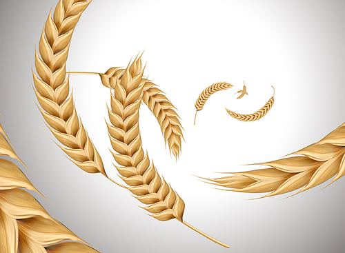 Flying wheat ingredients in 3d illustration on pearl white background