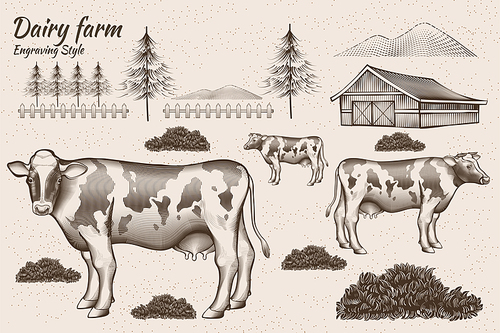 Engraving style dairy cattle and farmland design element