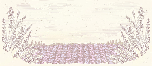 Engraved lavender garden background with copy space