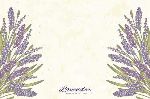 Engraved lavender flowers on beige background with copy space