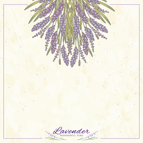 Engraved lavender flowers on beige background with copy space