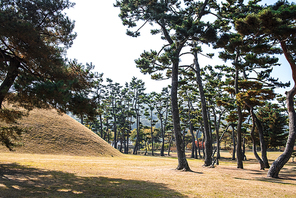 경이로운 경주의 고분.