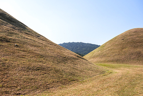 경이로운 경주의 고분.