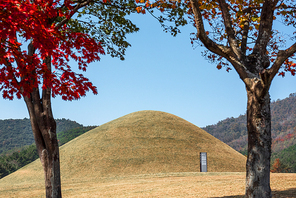 경이로운 경주의 고분