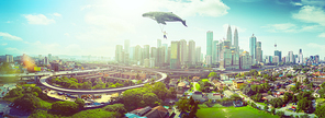 Whale floats in the sky and carrying a happy young asian guy . Travel concept.