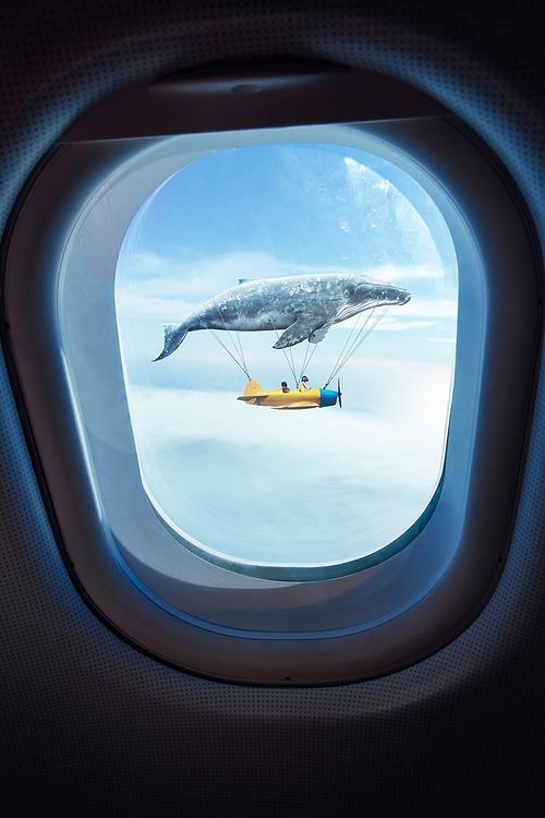 Whale floats in the air above the clouds carrying children in a yellow airplane,seen through window of an aircraft , dreams and travel concept .