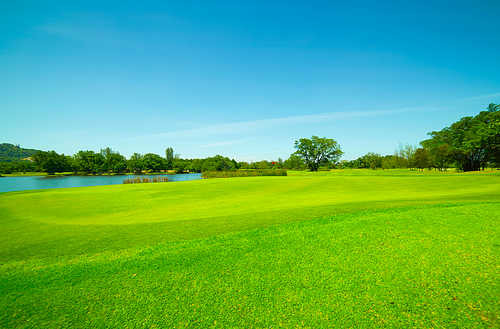 Green grass field and blue sky .