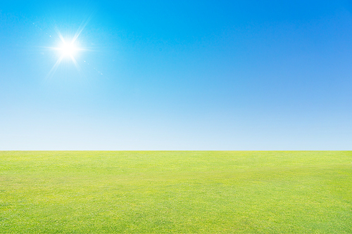 Green field under blue sky with sun flare .