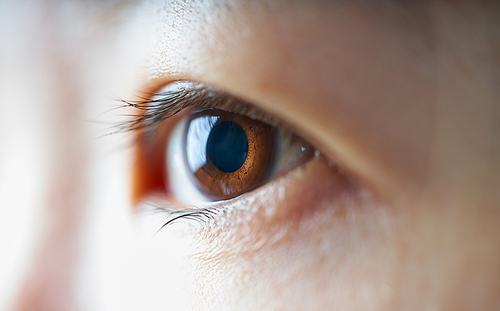 Close-up and selected focusing on a beautiful asian women eye .