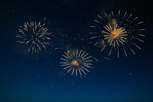 Night dark blue sky with firework celebration .