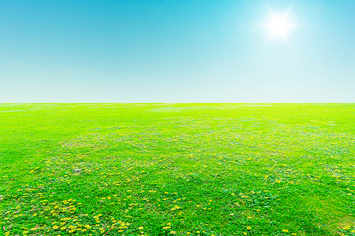 Green field under blue sky with sun flare .