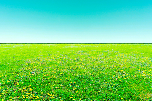 Green field with  blue sky .