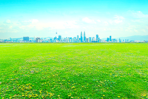 Green field with yellow flower and city skyline .