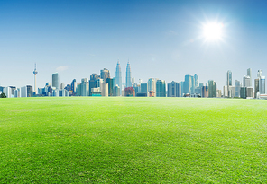 Green grass and downtown